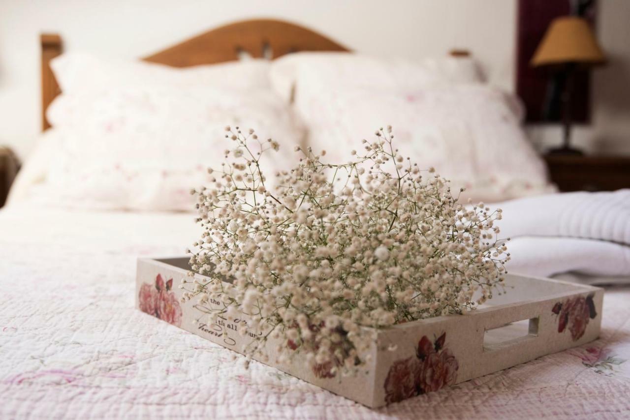 Apartamento 2 4/6 Pax Casa Rural El Sauce. A 2,5 Km De Cuenca Capital Nohales エクステリア 写真